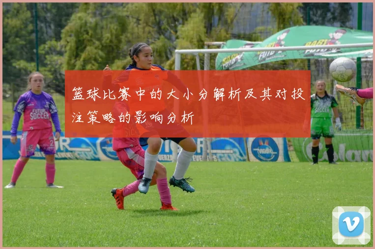 篮球比赛中的大小分解析及其对投注策略的影响分析