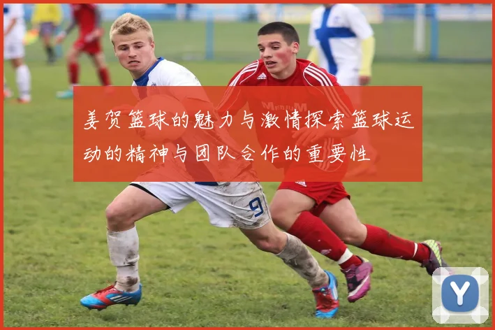 姜贺篮球的魅力与激情探索篮球运动的精神与团队合作的重要性