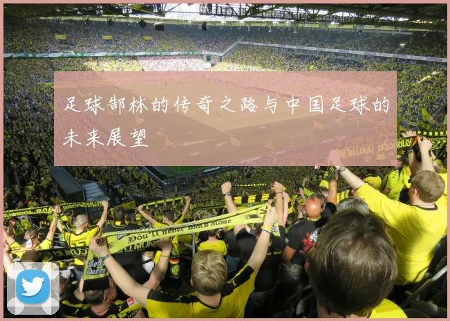 足球郜林的传奇之路与中国足球的未来展望