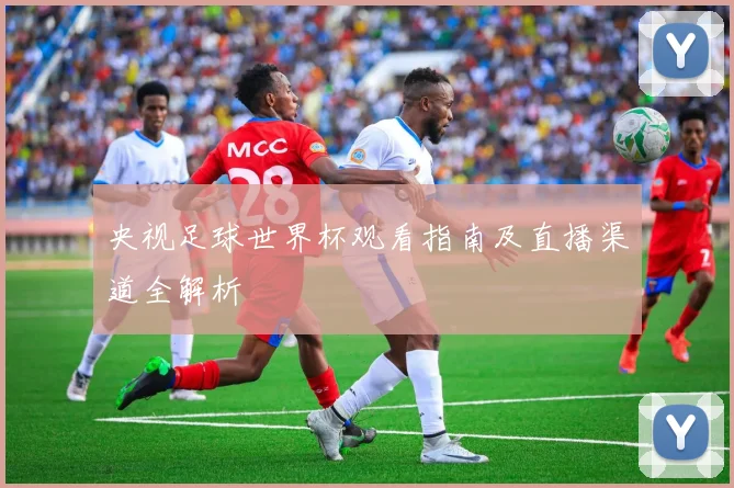 央视足球世界杯观看指南及直播渠道全解析