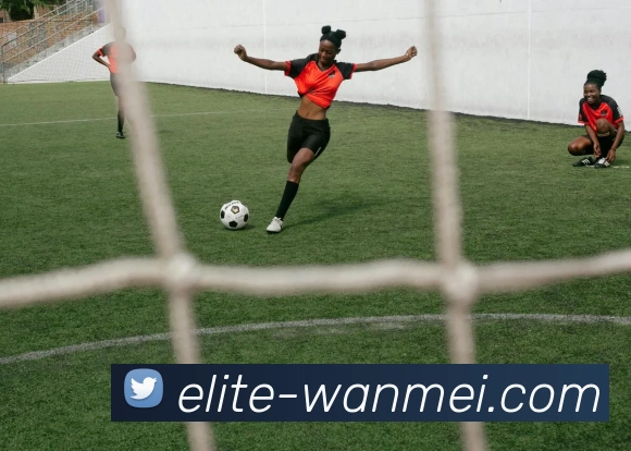 APP下载平台生态图